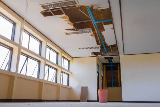 Best Sewage cleanup and water damage restoration  in Council Bluffs, IA