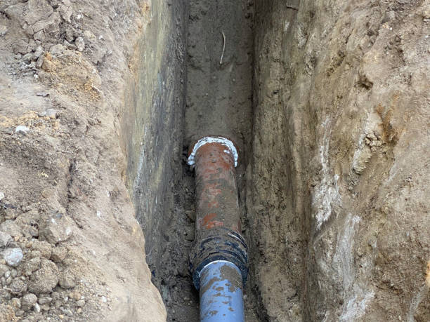 Best Local water damage restoration  in Council Bluffs, IA