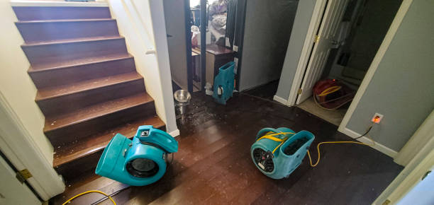 Best Flooded house restoration  in Council Bluffs, IA