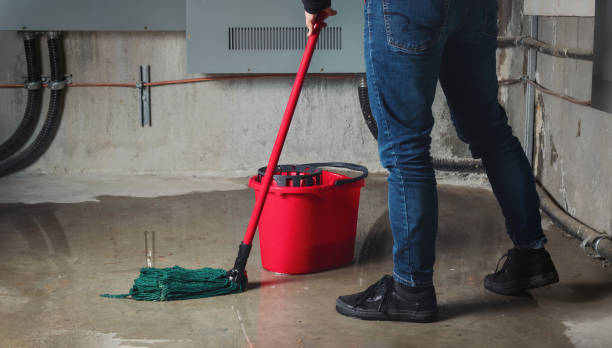 Best Mold removal after water damage  in Council Bluffs, IA