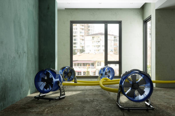 Best Emergency water damage restoration  in Council Bluffs, IA
